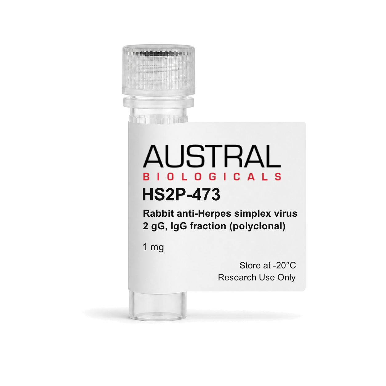 Austral Biologicals HS2P-473 - Rabbit anti-Herpes simplex virus 2 gG, IgG fraction (polyclonal), 1 mg