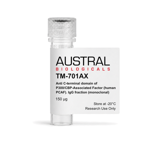 Austral Biologicals TM-701AX - Anti C-terminal domain of P300/CBP-Associated Factor (human PCAF). IgG fraction (monoclonal), 150 µg