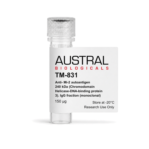 Austral Biologicals TM-831 - Anti- Mi-2 autoantigen 240 kDa (Chromodomain Helicase-DNA-binding protein 3). IgG fraction (monoclonal), 150 µg